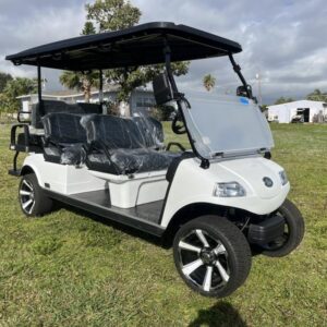 2025 Evolution Carrier 6 Plus golf cart for sale